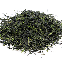 Sencha